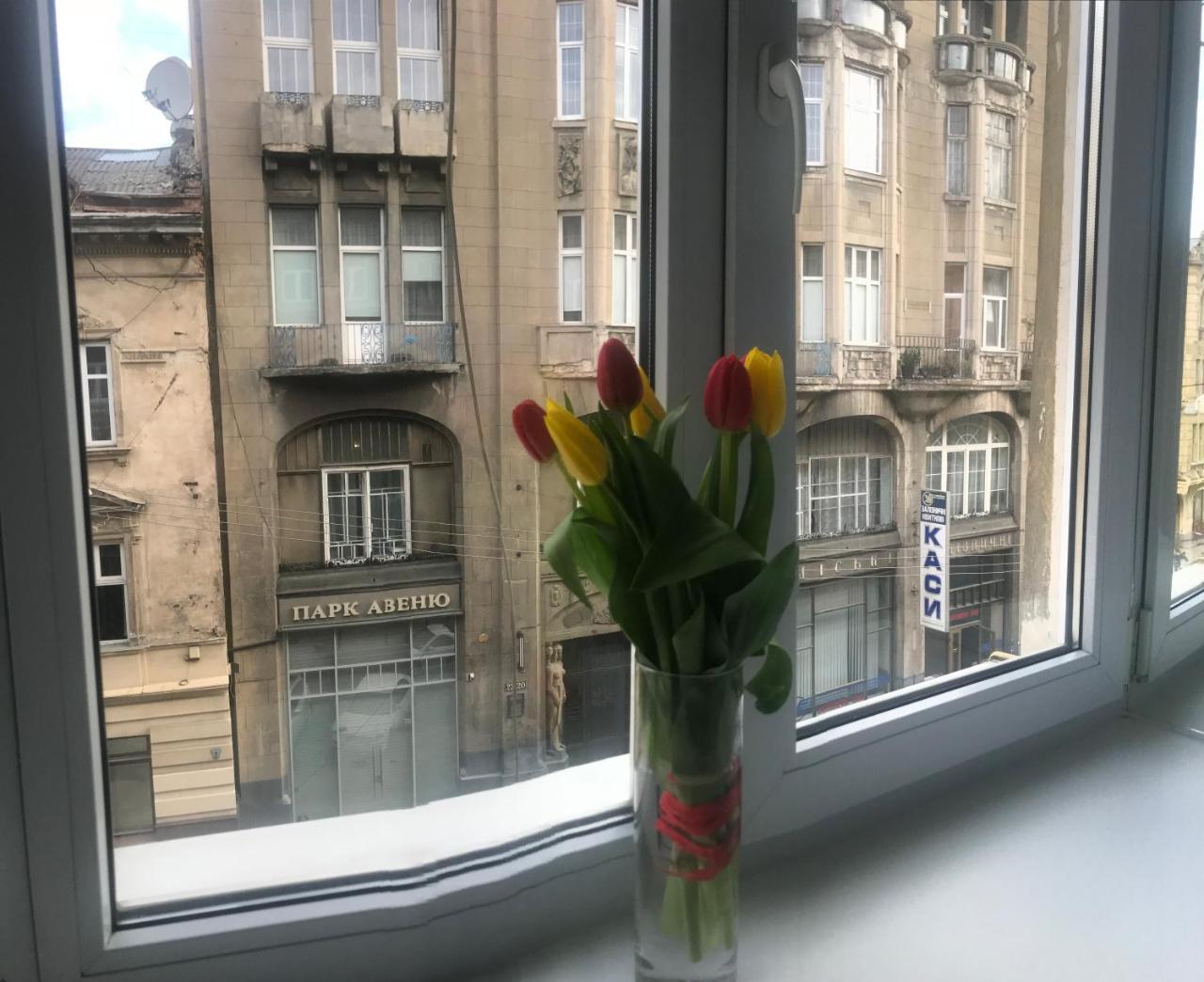 Апартаменти На Гнатюка 17 Lviv Eksteriør bilde